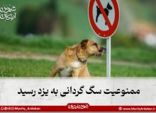 با دستور دادستانی “سگ گردانی” در یزد ممنوع شد