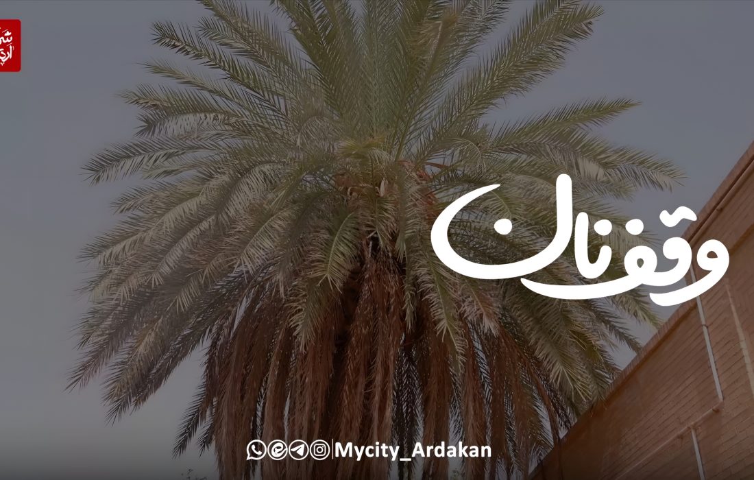 وقف نان