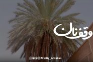 وقف نان